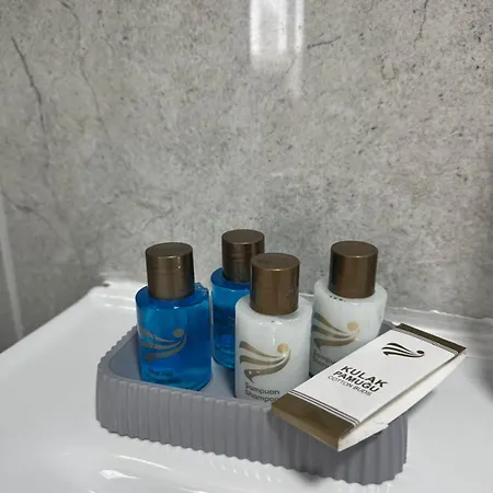 Hotel Spacious Modern In Yasamkent New Building